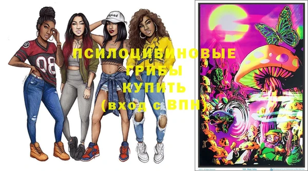 дмт Покров