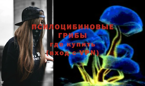 синтетический гашиш Переславль-Залесский
