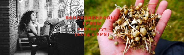 синтетический гашиш Переславль-Залесский