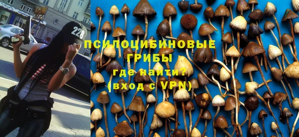 прущие крисы Пересвет