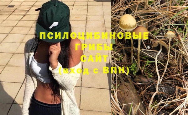 дмт Покров