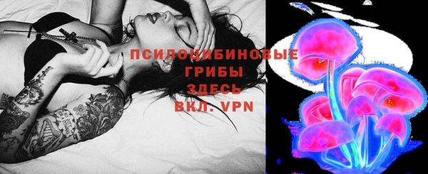 PSILOCYBIN Покровск