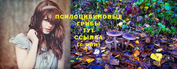 герыч Покачи
