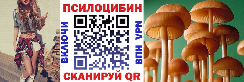 Галлюциногенные грибы MAGIC MUSHROOMS Купить Каргополь
